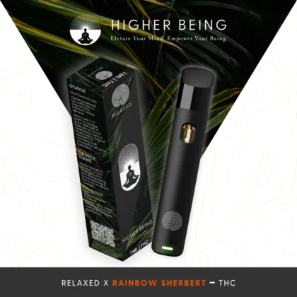 Relaxed X Rainbow Sherbert